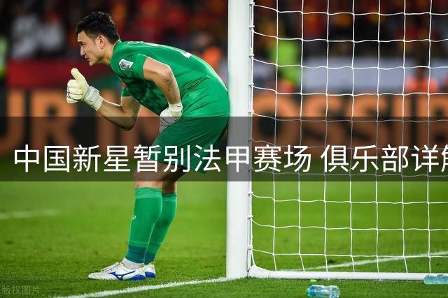 中国新星暂别法甲赛场 俱乐部详解培养计划