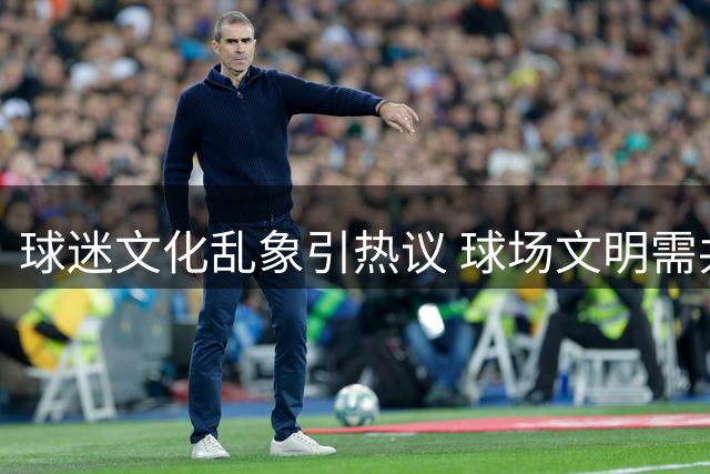 球迷文化乱象引热议 球场文明需共同守护